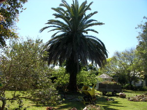 SANYO DIGITAL CAMERA