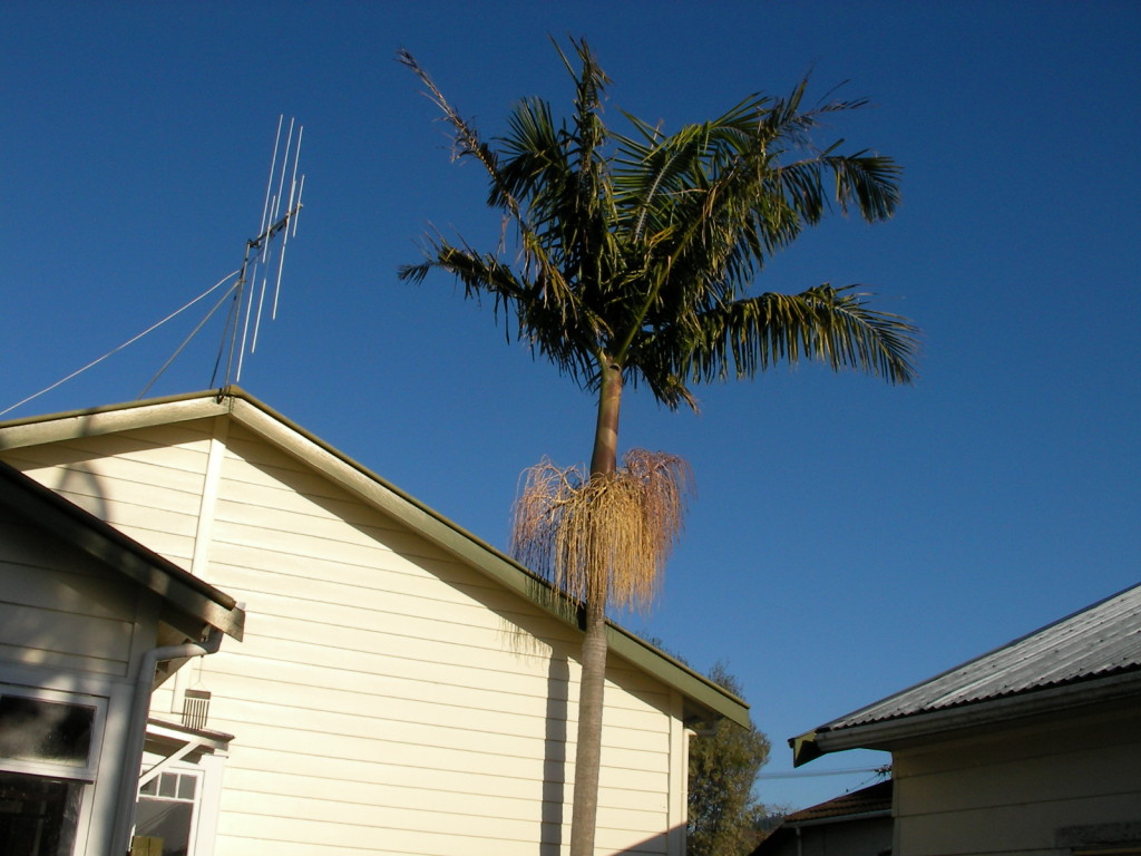 SANYO DIGITAL CAMERA