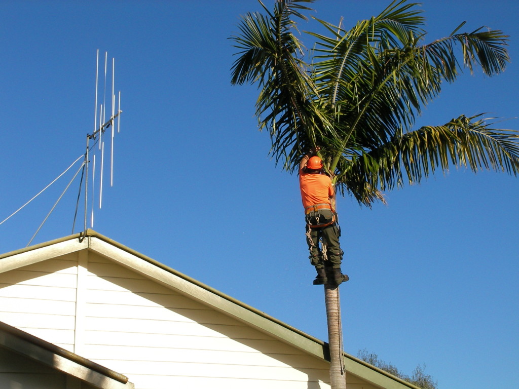 SANYO DIGITAL CAMERA