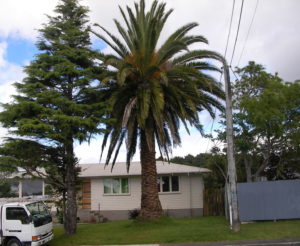 SANYO DIGITAL CAMERA