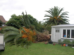 SANYO DIGITAL CAMERA