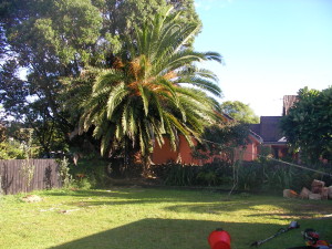 SANYO DIGITAL CAMERA