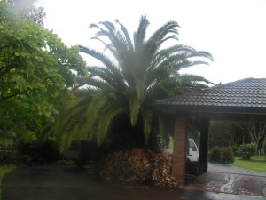 SANYO DIGITAL CAMERA