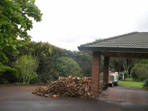 SANYO DIGITAL CAMERA