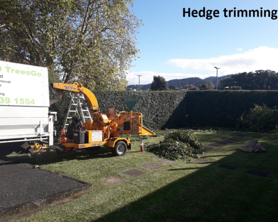 Hedge Trimming