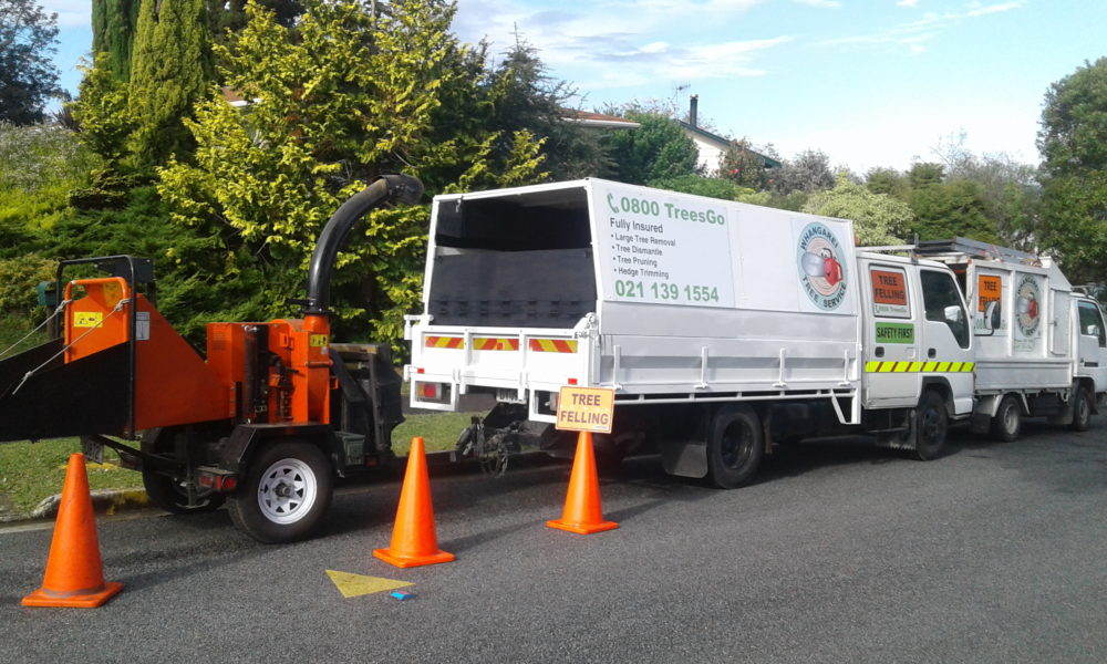 Arborist Northland Arborist Northland