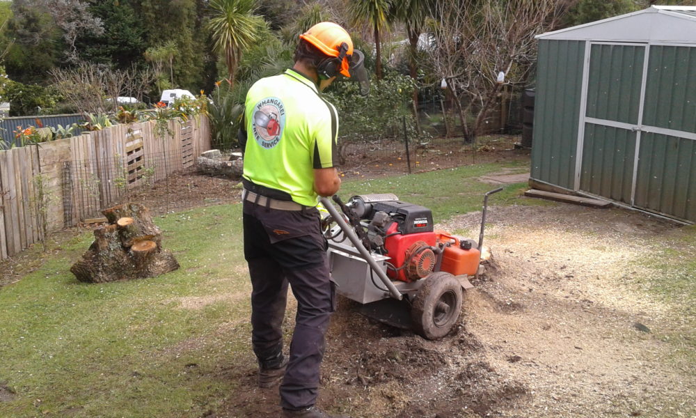Maunu stump removal Maunu stump removal