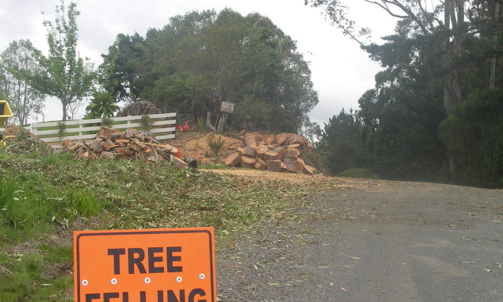 Tree Felling Whangarei Tree Felling Whangarei
