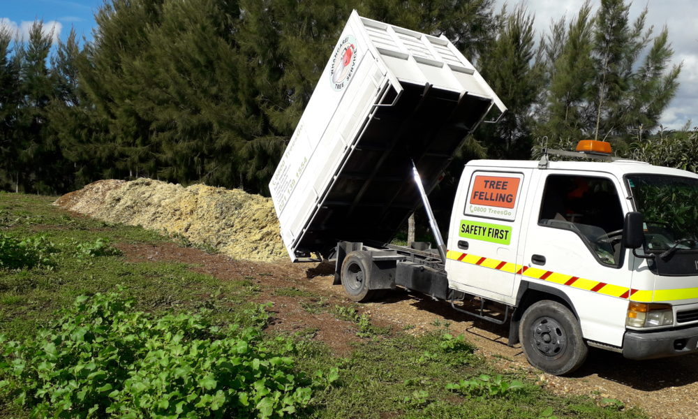 Tree chipping services Whangarei Tree chipping services Whangarei
