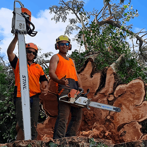 serious-chainsaw-professionals serious-chainsaw-professionals
