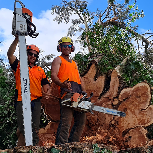 serious-chainsaw-professionals
